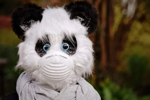 Casino Mars Bet Kundeservice